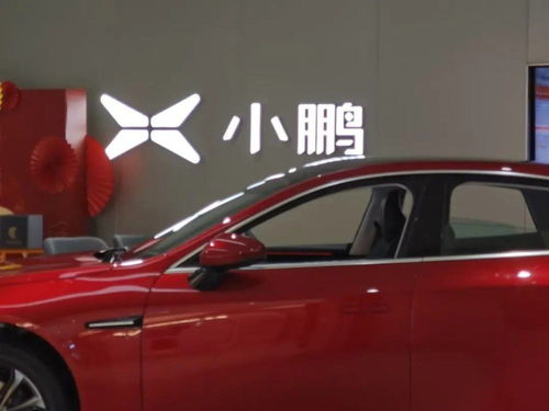 小鵬汽車事故多少