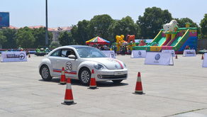 大洼進口汽車首付多少