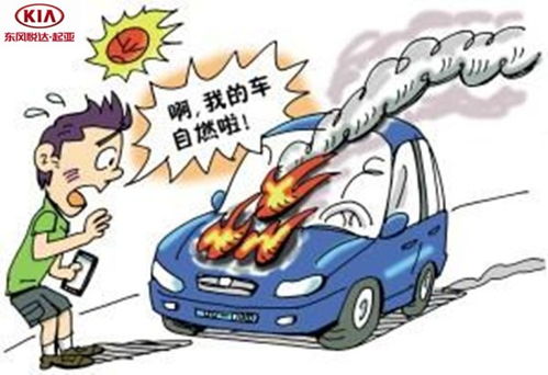 夏天汽車保養(yǎng)熱線多少