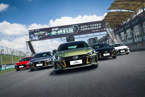 影豹汽車扭矩多少