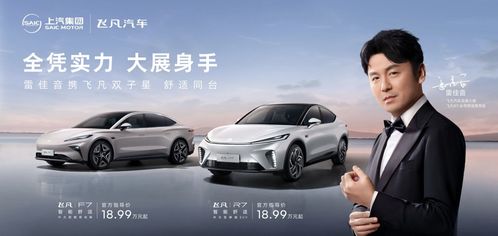 飛凡汽車售價多少