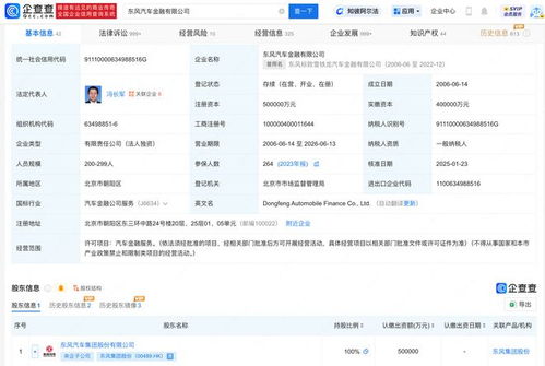 汽車用戶資產(chǎn)有多少