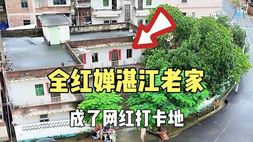 全紅嬋老家蓋小洋樓 目測(cè)兩百平