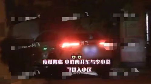 賈乃亮全家出游 被猜與李小璐復(fù)合