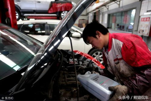 歐洲汽車保養(yǎng)多少公里