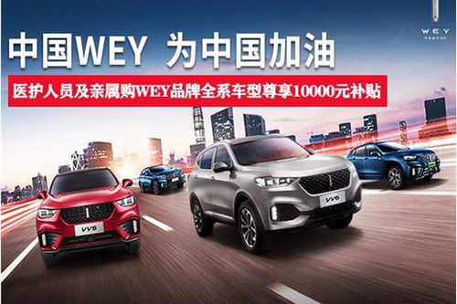 武漢汽車公園多少品牌