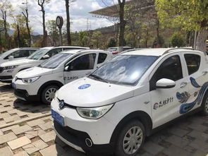 麗江汽車多少錢