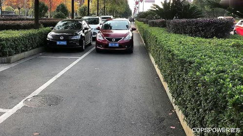 汽車電池停車多少天