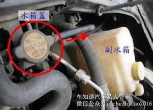 汽車水箱中有多少水