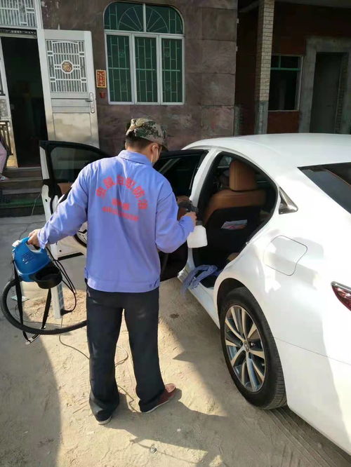 汽車除蟲多少錢 汽車除蟲多少錢
