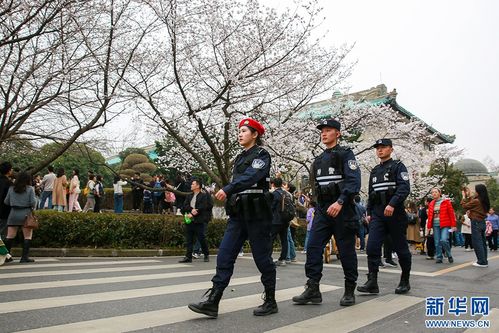 南昌特警持續(xù)“接單”幫游客拍照