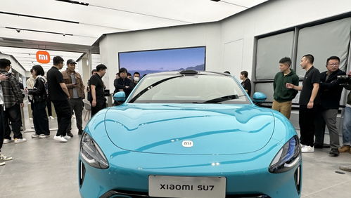 小米粉汽車售價(jià)多少