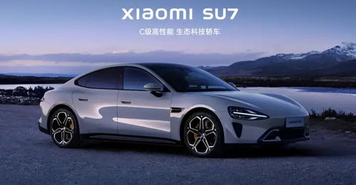 小米汽車首定多少