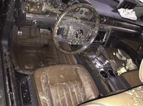 汽車泡水還能賣多少