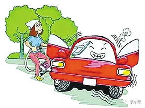 東莞汽車(chē)顧問(wèn)工資多少