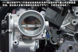 汽車油門轉(zhuǎn)速多少正常