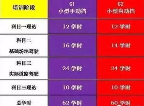 汽車駕照多少學時