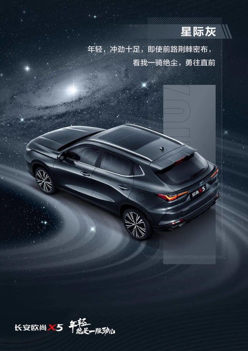 紫色汽車多少錢
