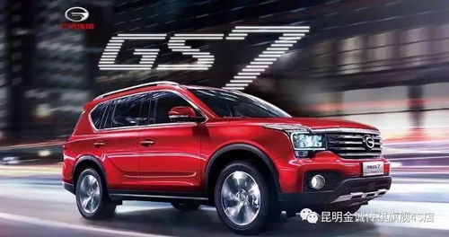 斿行者汽車多少價位