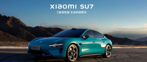 小米汽車破多少億