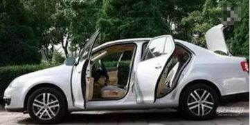 汽車竹炭包放多少