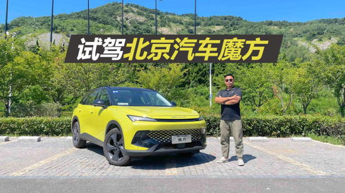 汽車配置額外多少合適