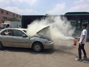汽車夏天用多少水