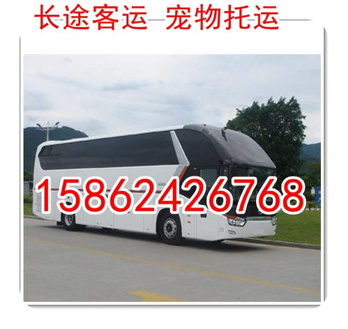 仙游汽車(chē)干洗價(jià)格多少