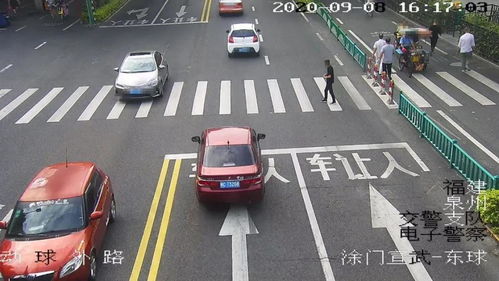 汽車(chē)牌照多少cm