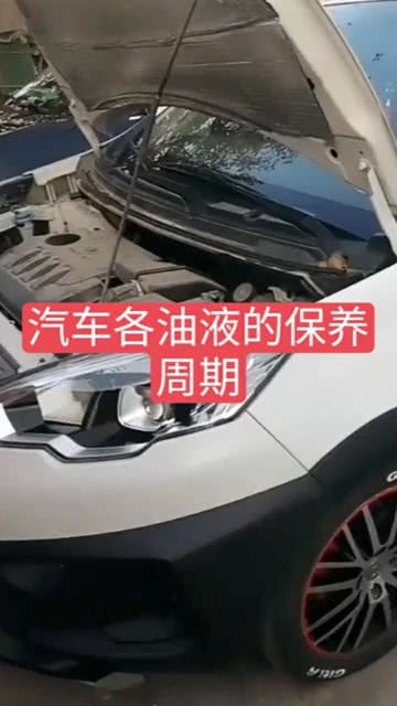 汽車的液體是多少