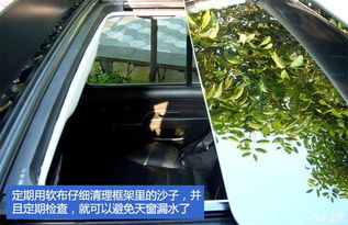 雅安汽車保養(yǎng)估價多少