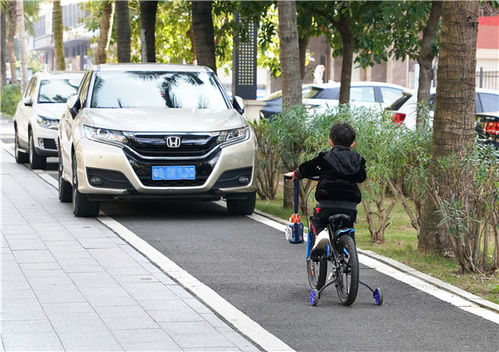 我軍現(xiàn)有多少輛汽車