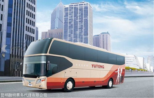 大巴汽車多少座位最好