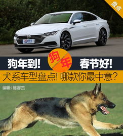 汽車(chē)能載多少狗狗