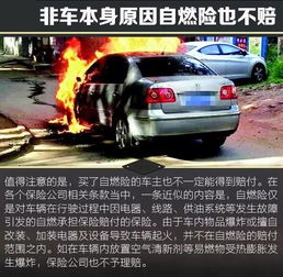 每年有多少汽車事故