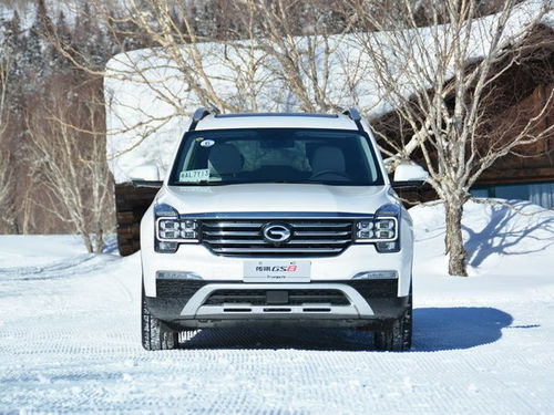 汽車雪地時速多少合適 汽車雪地時速多少合適