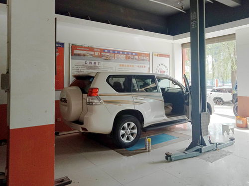 汽車高度多少不頂頭