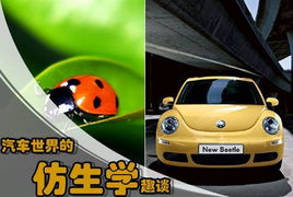 甲種汽車多少輛車型
