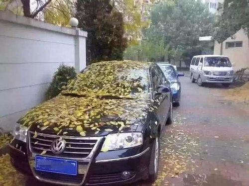 汽車車上承重多少