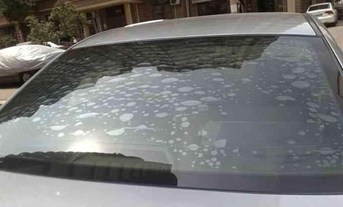 汽車海綿硬度多少d