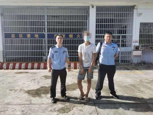 汽車瓦片分為多少種類