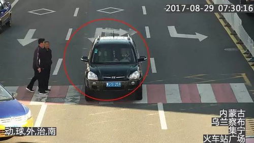 汽車違法有多少條