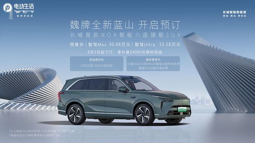 魏牌汽車排名多少