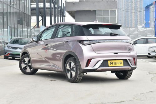 海豚汽車成本多少