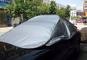 汽車傘有多少種