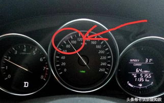 汽車多少時速僅限