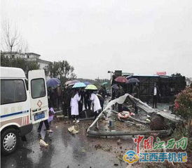 樟樹(shù)有多少大汽車(chē)