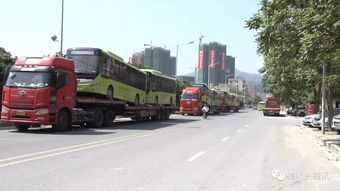 樟樹(shù)有多少大汽車(chē)