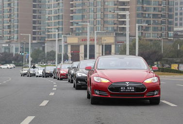 汽車巡游拍照報價多少