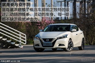 藍鳥汽車油耗是多少